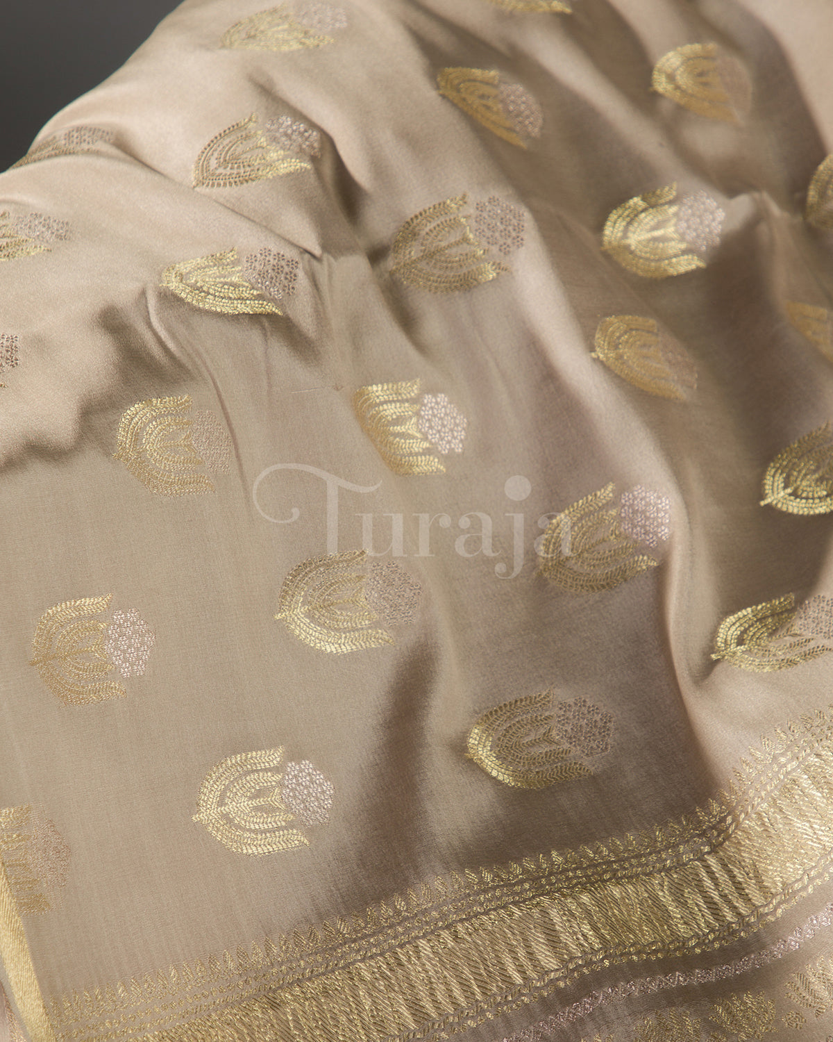 Moonlit: Beige Mysore Crepe Silk Saree