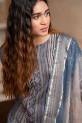 A women wearing greyish pure chanderi suit set, ethnic wear for women 