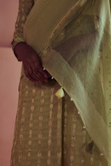 A women wearing pastel green pure fancy chanderi suit set, ethnic wear for women.